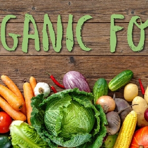 Best Organic Fruits & Vegetables Available…