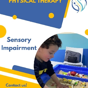 Sensory Integration and Physical Therapy…