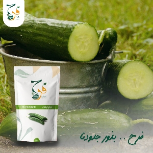 للبيع بذور Cucumber الخيار…