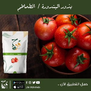 بذور الطماطم للبيع @ الاردن…