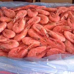 Shrimp Distribution @ Jordan - AL Mayar…