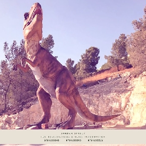 متحف منتجع الغابة للديناصورات…